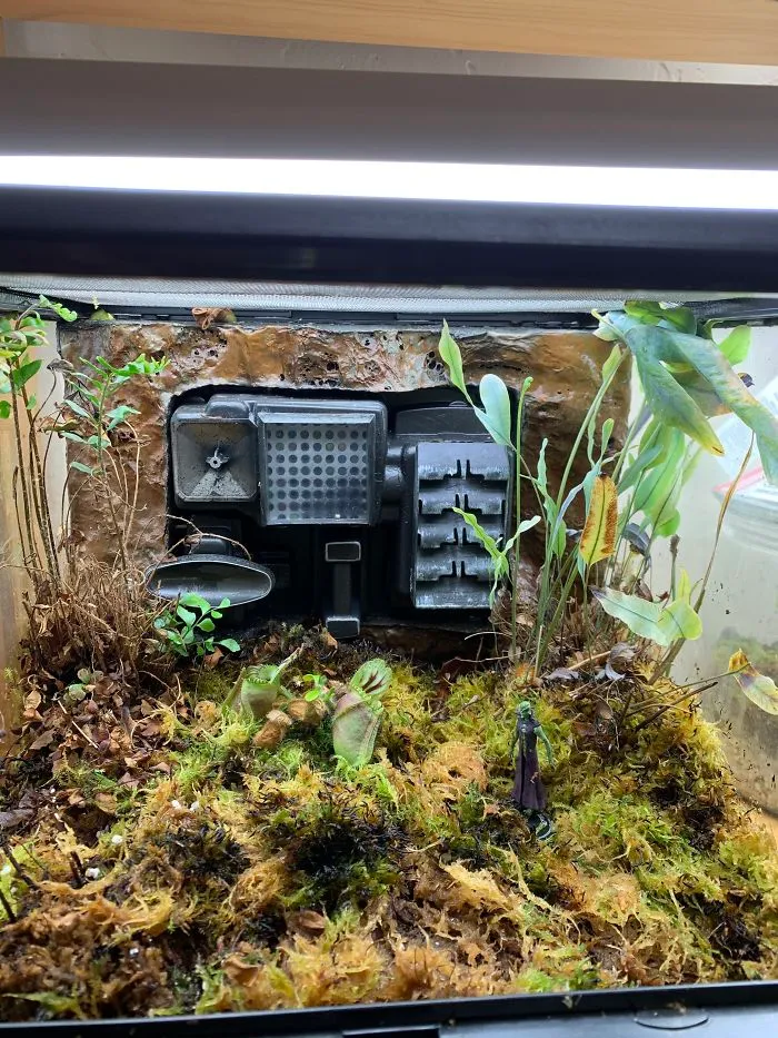 I Visited Texas Triffid Ranch: Dallas’s Carnivorous Plant Gallery (14 Pics)