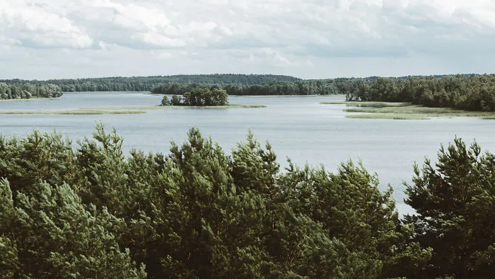 A View From Above