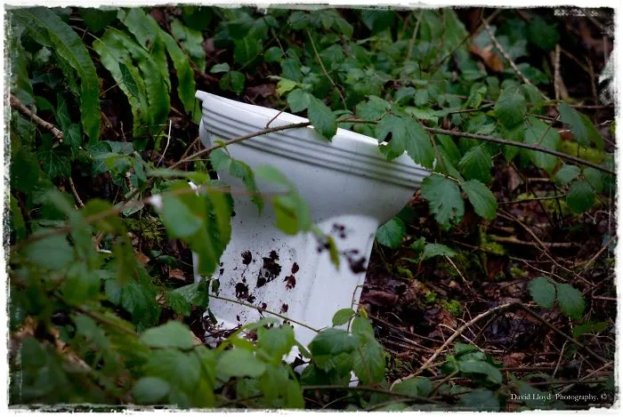 The Crapper