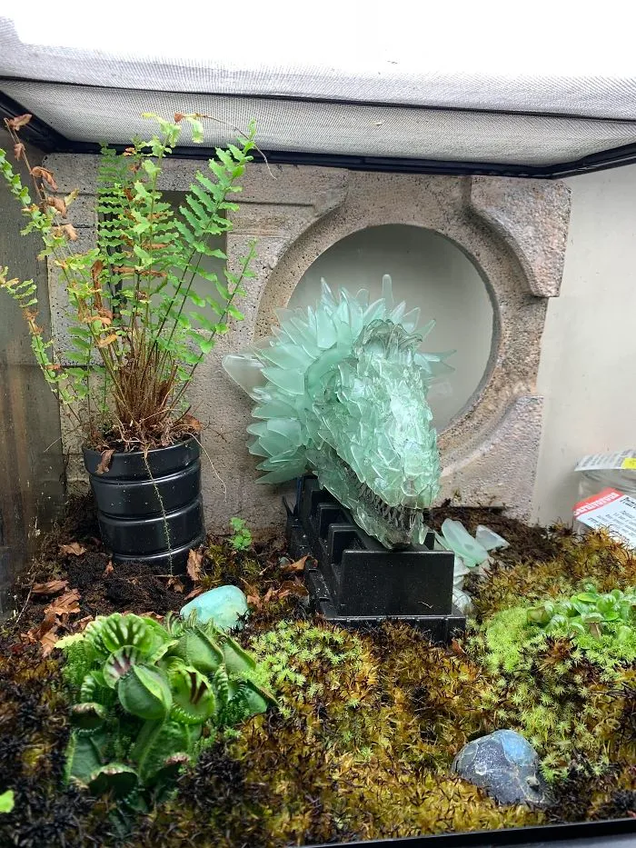 I Visited Texas Triffid Ranch: Dallas’s Carnivorous Plant Gallery (14 Pics)