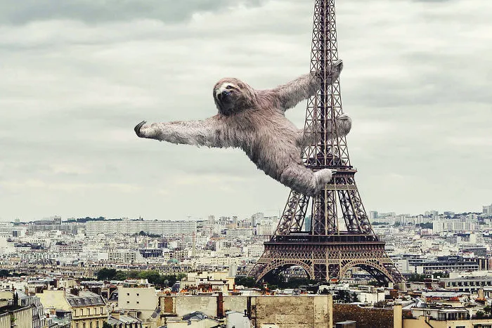 Digital Artists Photoshopped Oversized Animals And The Result Might Give You Nightmares (110 Pics)