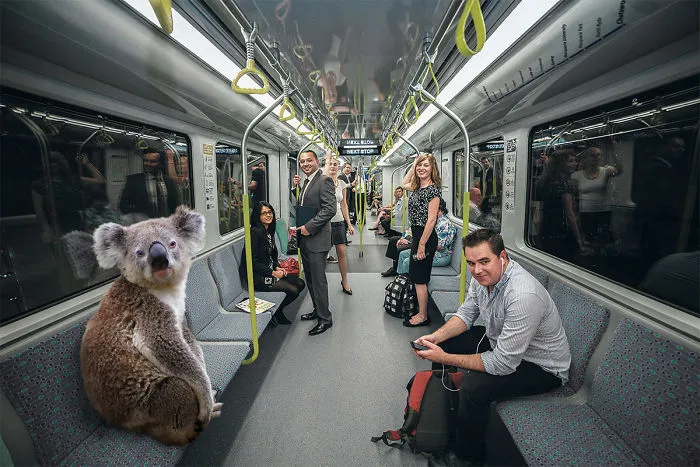 Digital Artists Photoshopped Oversized Animals And The Result Might Give You Nightmares (110 Pics)