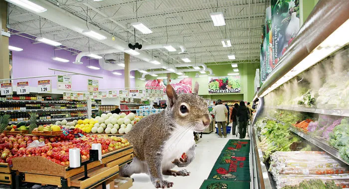 Digital Artists Photoshopped Oversized Animals And The Result Might Give You Nightmares (110 Pics)