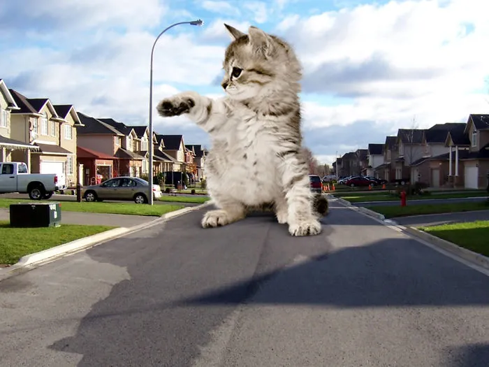 Digital Artists Photoshopped Oversized Animals And The Result Might Give You Nightmares (110 Pics)