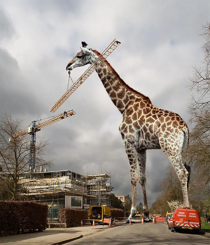 Digital Artists Photoshopped Oversized Animals And The Result Might Give You Nightmares (110 Pics)