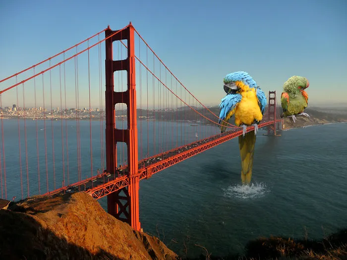 Digital Artists Photoshopped Oversized Animals And The Result Might Give You Nightmares (110 Pics)