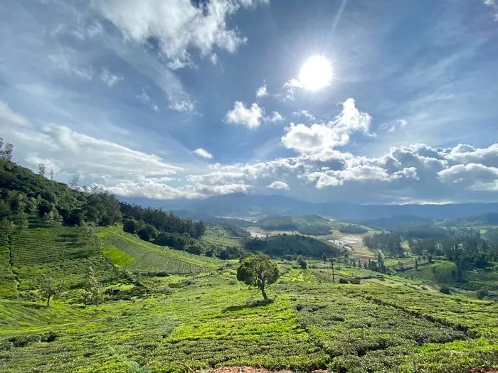 Five Lake View Point