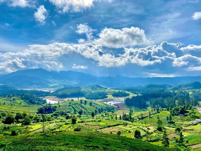 Five Lake View Point