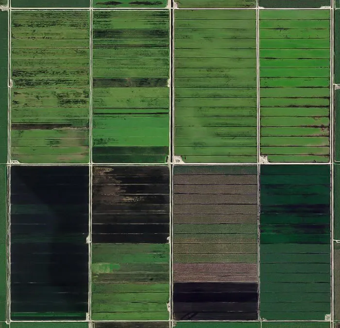 Grid