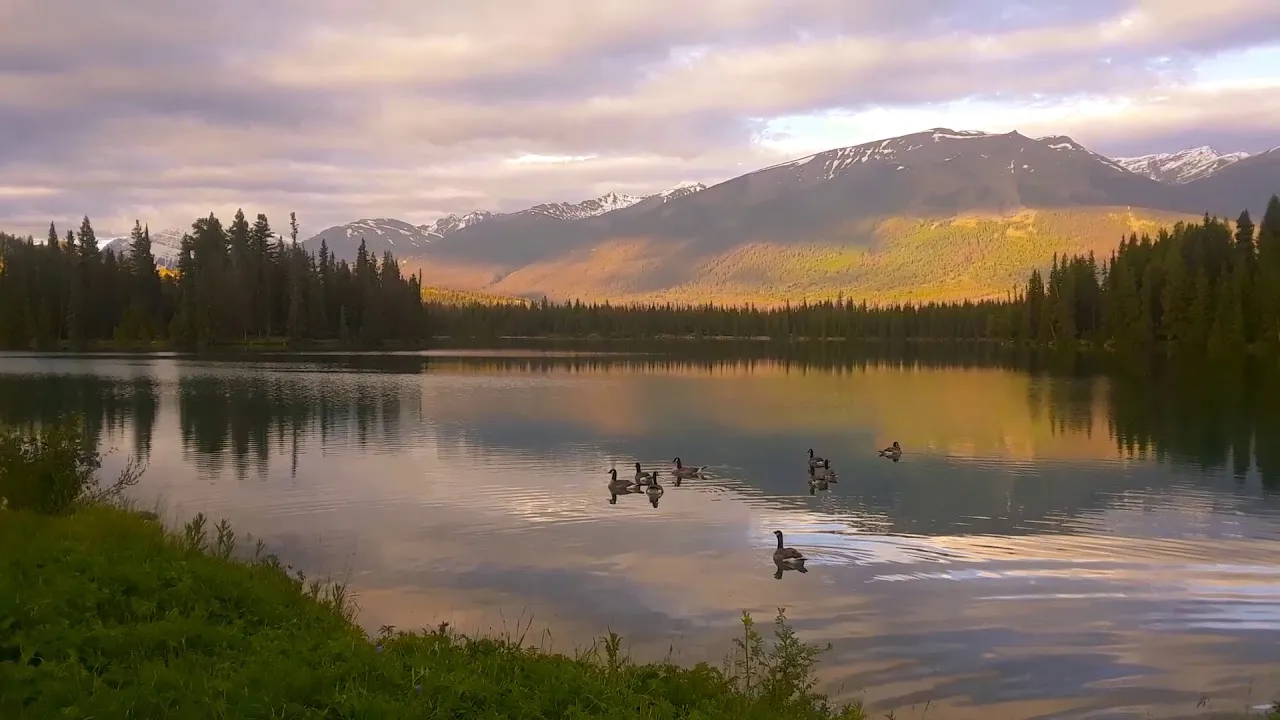 I Took This Video While Walking Around Lac Beauvert.