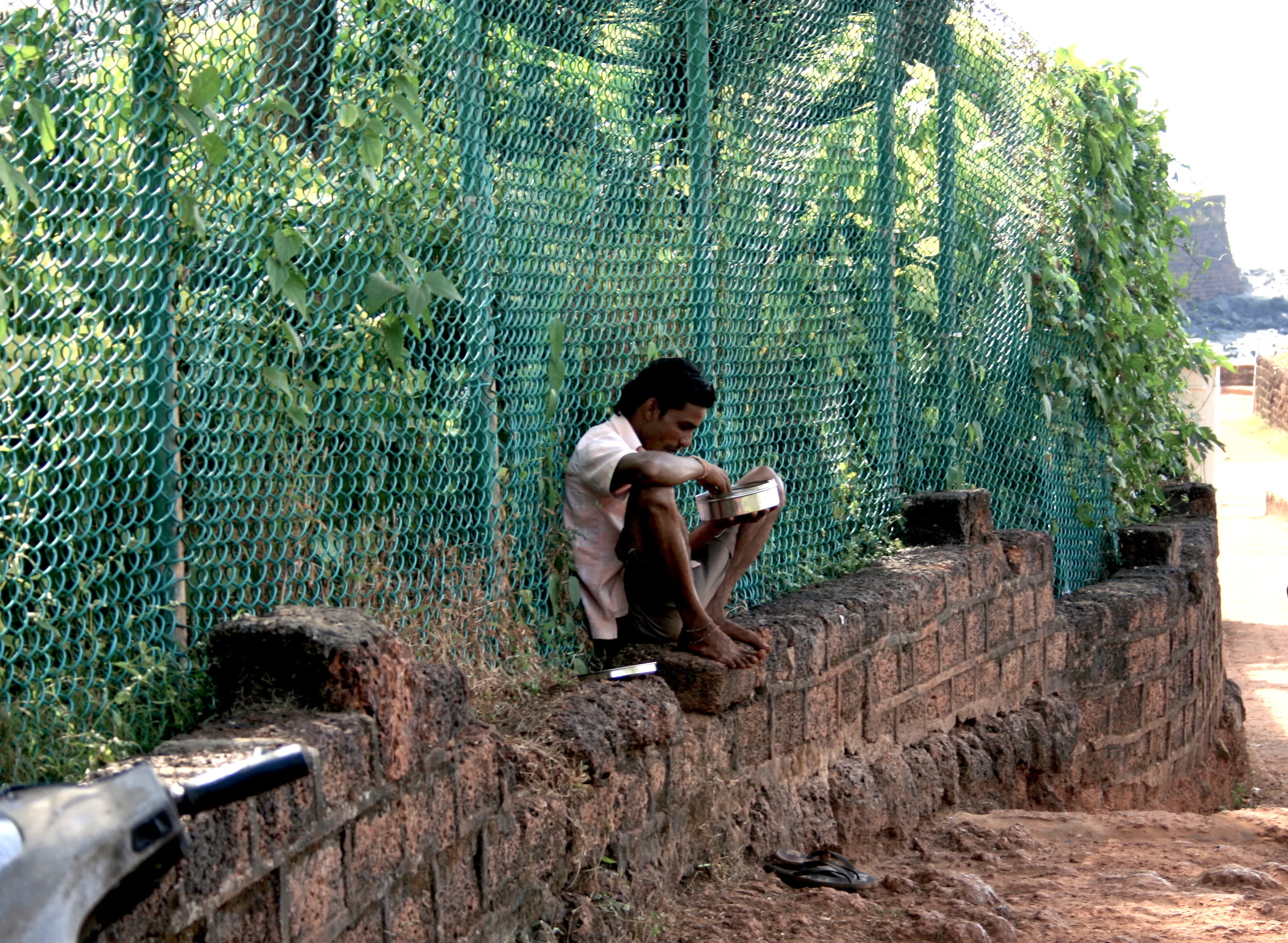 The Indigenous People