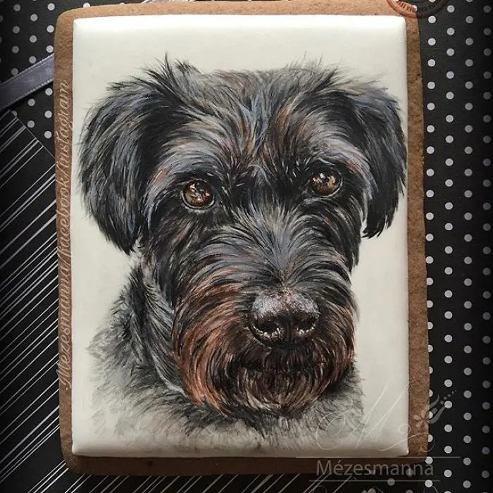 60 Gorgeously Decorated Cookies By Mezesmanna