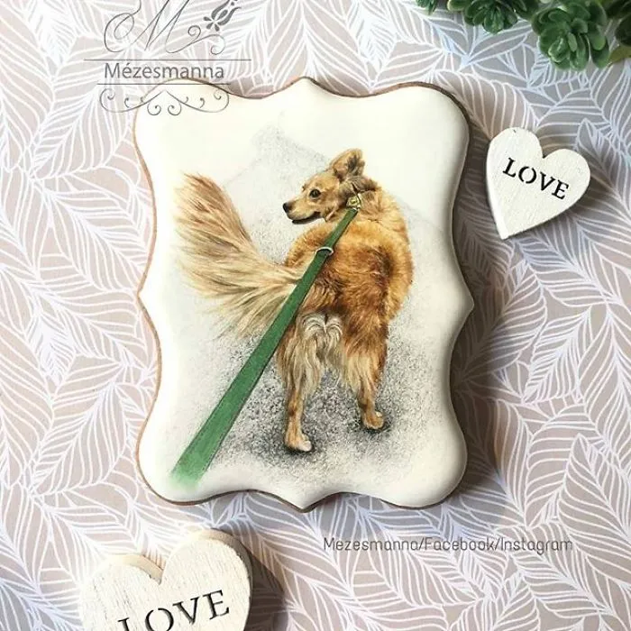 60 Gorgeously Decorated Cookies By Mezesmanna