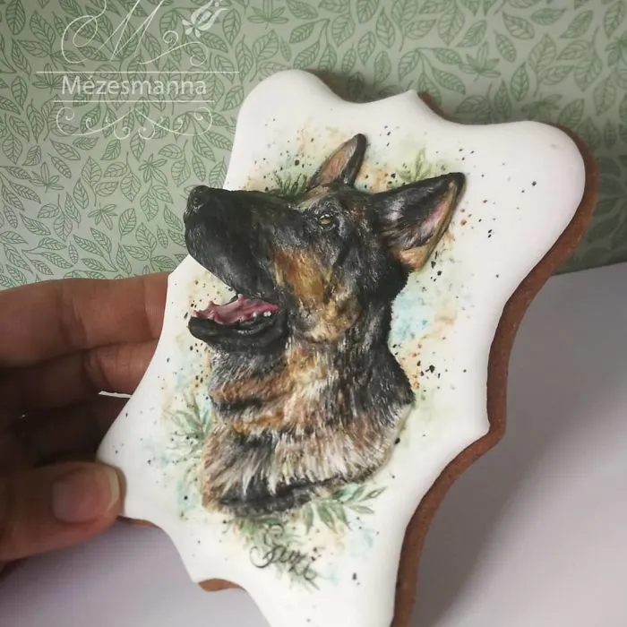 60 Gorgeously Decorated Cookies By Mezesmanna