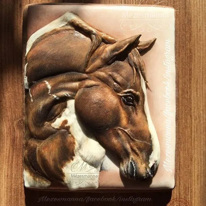 60 Gorgeously Decorated Cookies By Mezesmanna