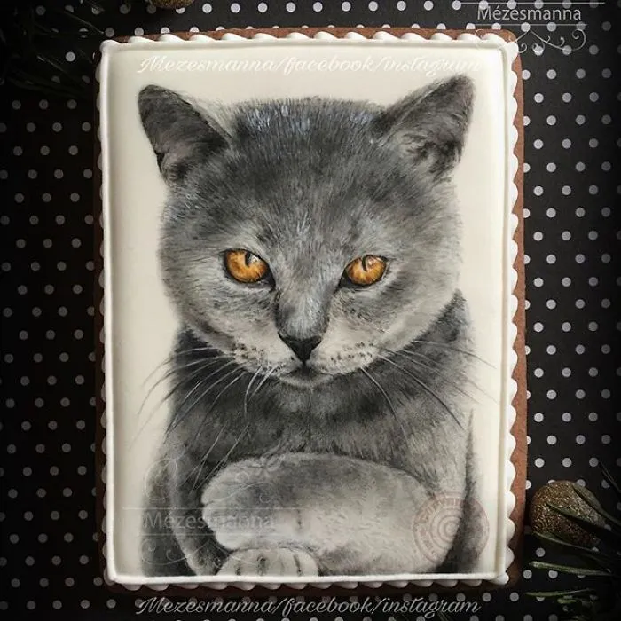 60 Gorgeously Decorated Cookies By Mezesmanna
