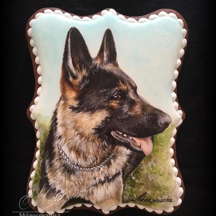 60 Gorgeously Decorated Cookies By Mezesmanna