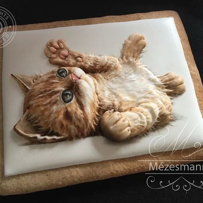60 Gorgeously Decorated Cookies By Mezesmanna
