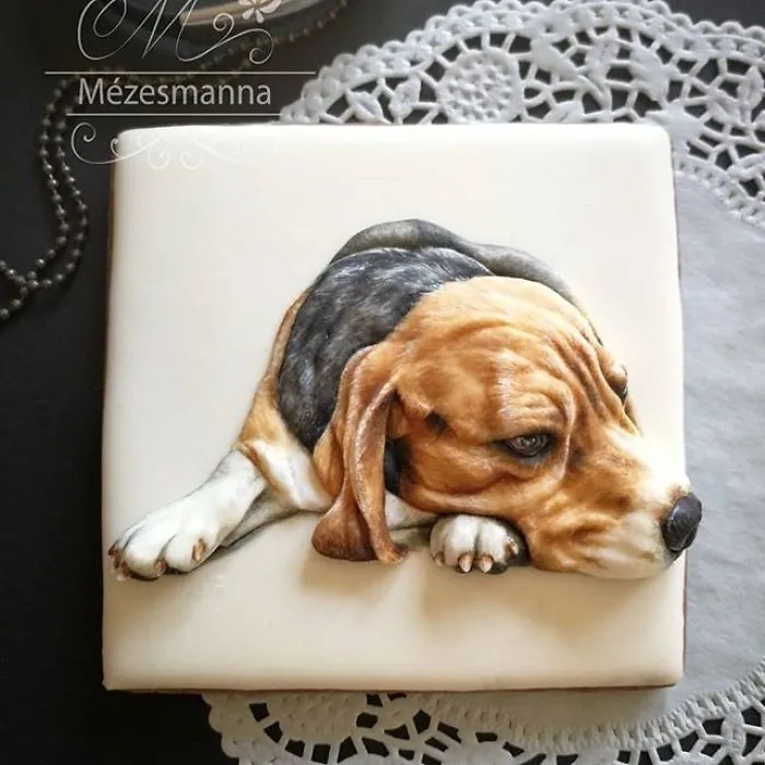 60 Gorgeously Decorated Cookies By Mezesmanna