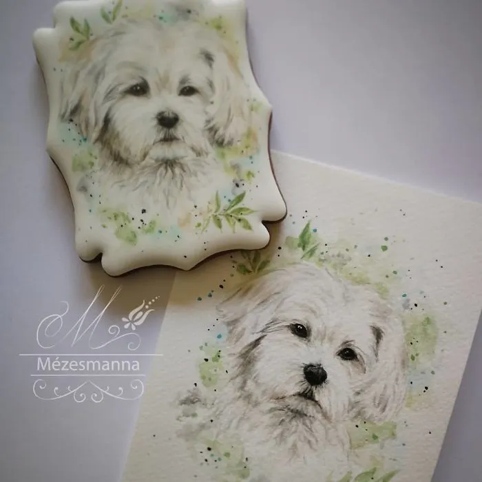 60 Gorgeously Decorated Cookies By Mezesmanna