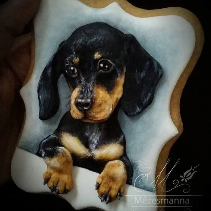 60 Gorgeously Decorated Cookies By Mezesmanna