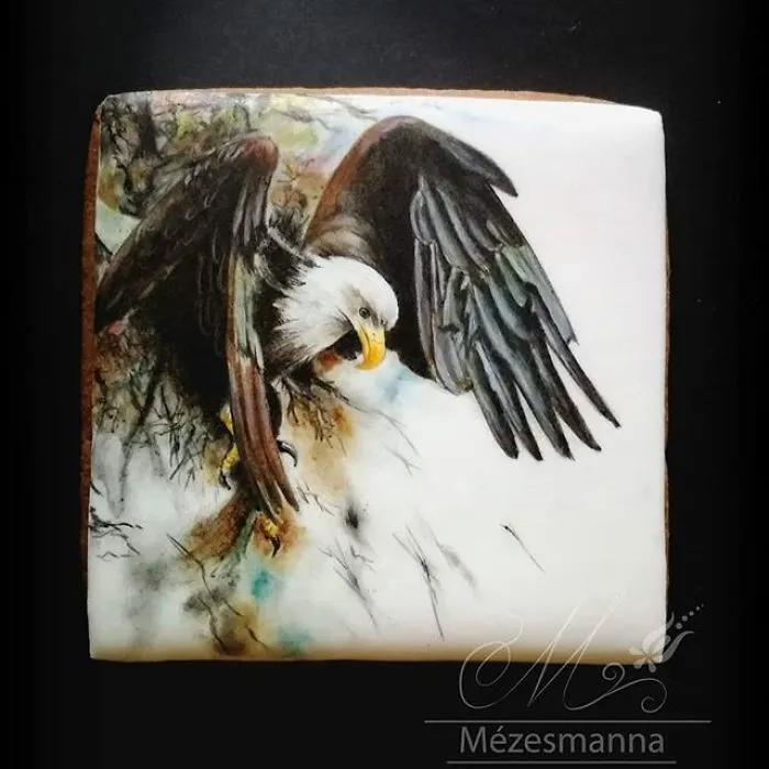 60 Gorgeously Decorated Cookies By Mezesmanna