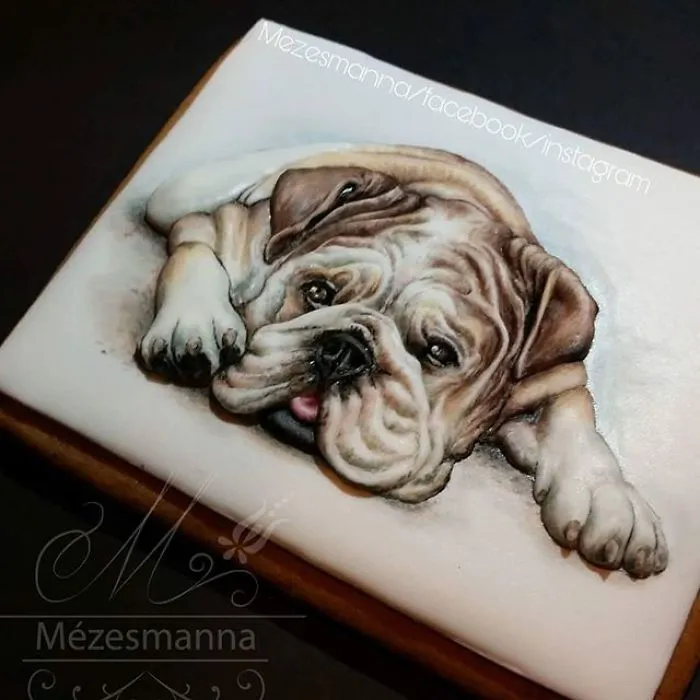 60 Gorgeously Decorated Cookies By Mezesmanna