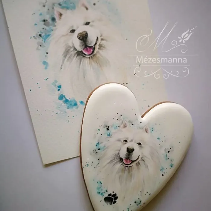 60 Gorgeously Decorated Cookies By Mezesmanna