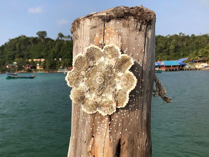 Koh Rong, Cambodia