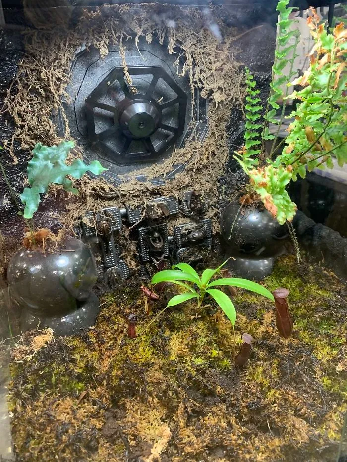 I Visited Texas Triffid Ranch: Dallas’s Carnivorous Plant Gallery (14 Pics)