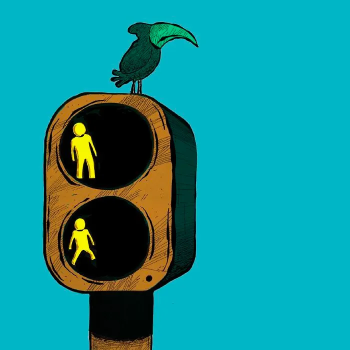 Traffic Hazard