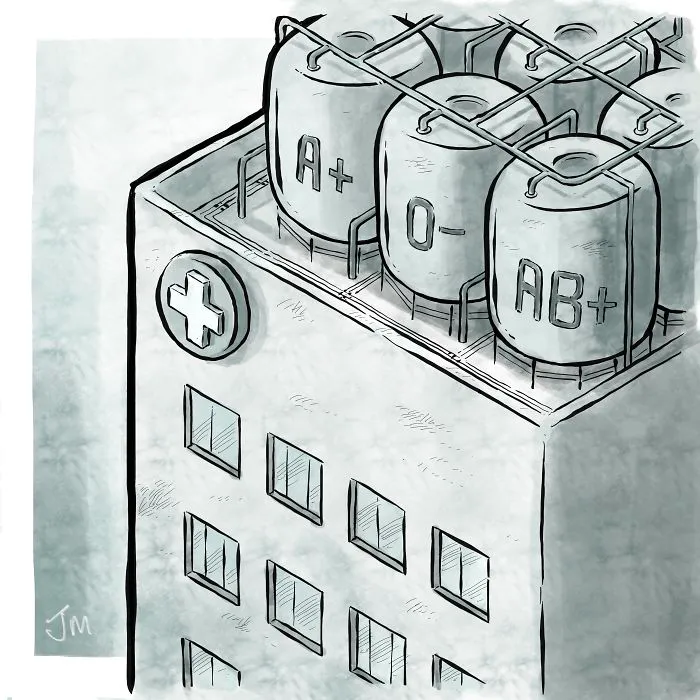 The Supply