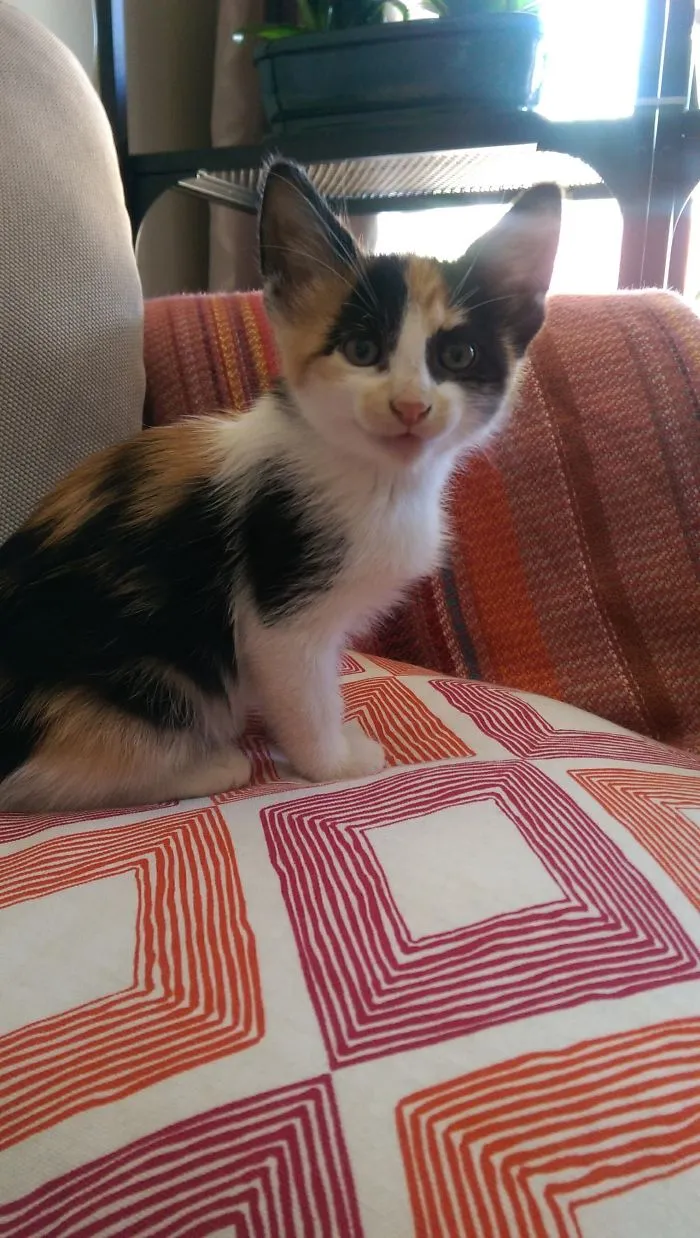 Suki.  Fresh Off The Farm!