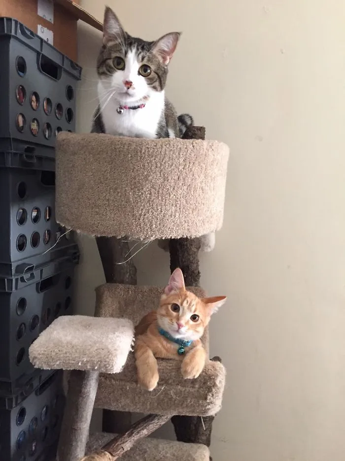 Two For The Price Of One!