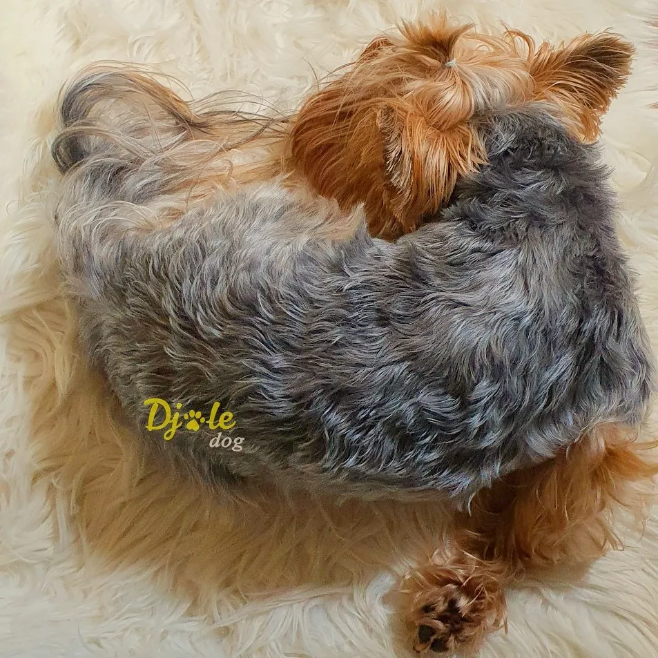 Interesting Sleep Pose