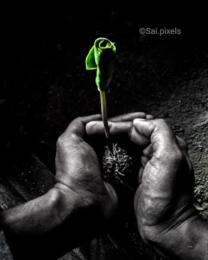 My Micro Photography Pictures Show This World In A Different Way (12 Pics)