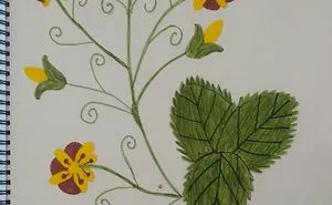 My Mum's (Vasiliki Kallinteri) Drawings! #3