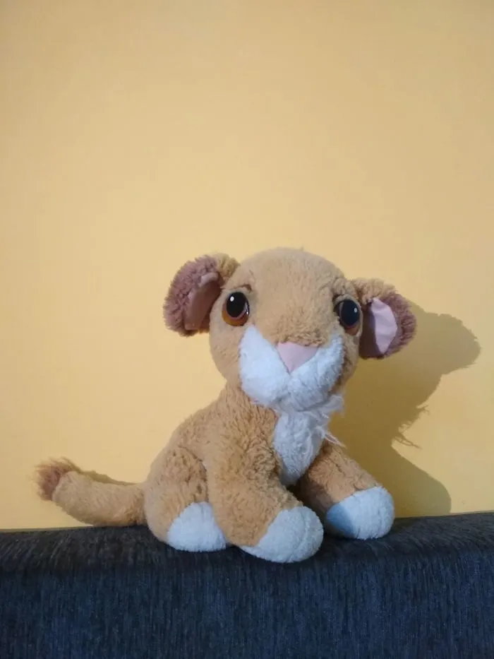 Meet Simba