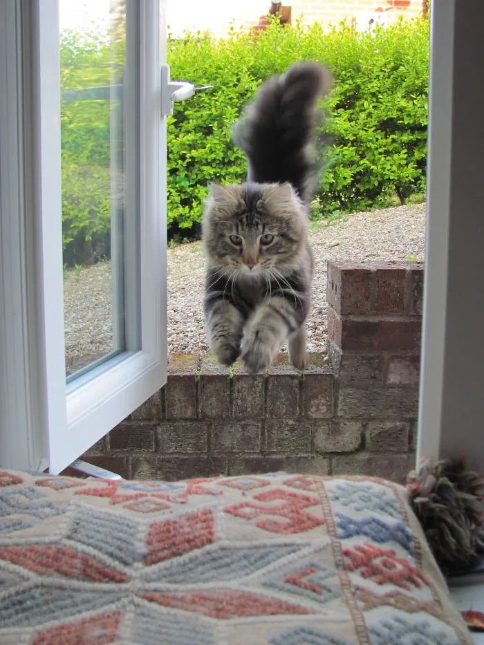 My Boy John. Gone Now, But Still Much Loved.
