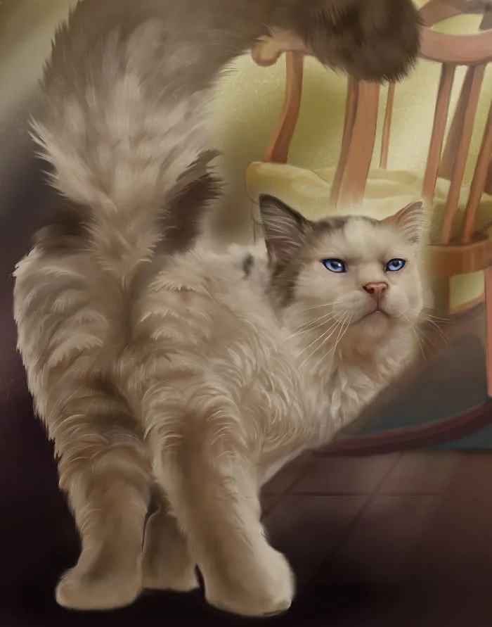This Kitty Loves Rays Of Sunshine And Antique Rockers As Much As The Next Guy