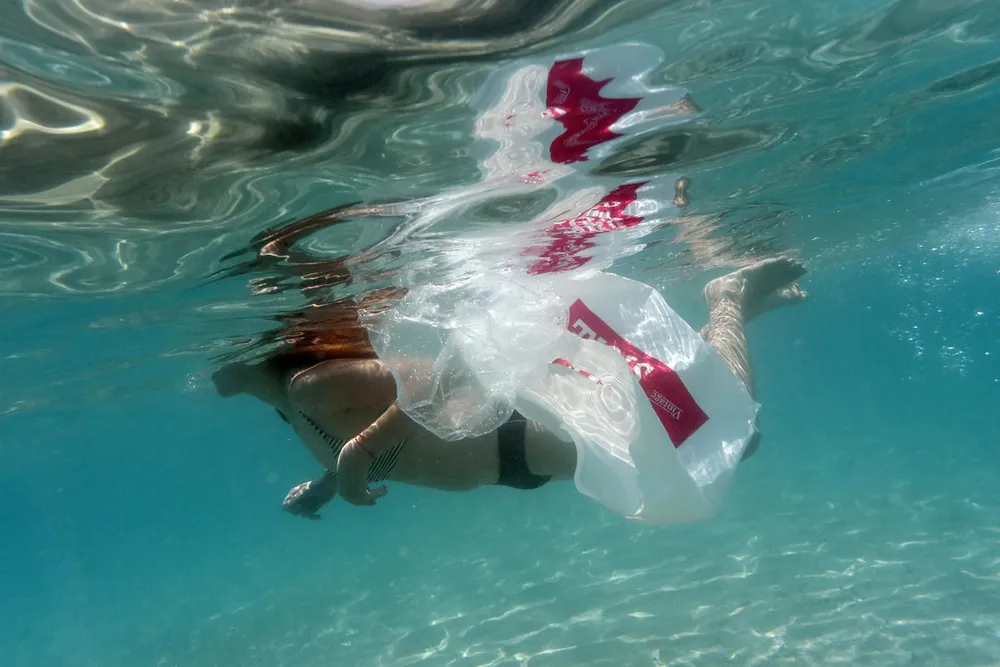Plastic Bag Free Day 2020: July 3