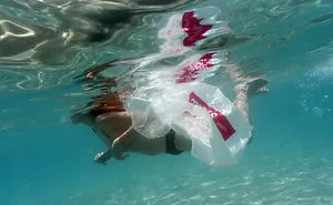 Plastic Bag Free Day 2020: July 3