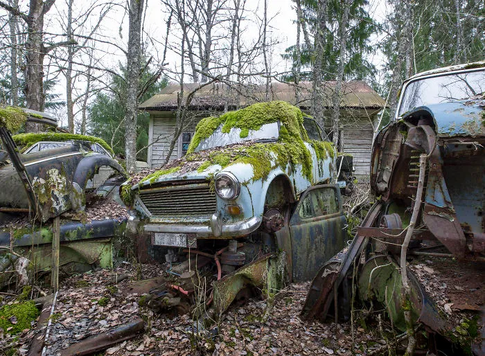 Dressed In A Gown Of Moss