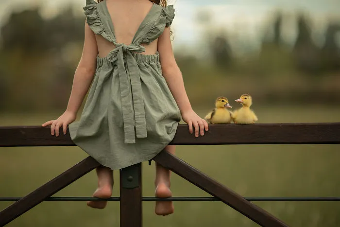 We Raised Two Ducks For A Month And Here Are My Daughter's Adventures With These Little Fellows (16 Pics)