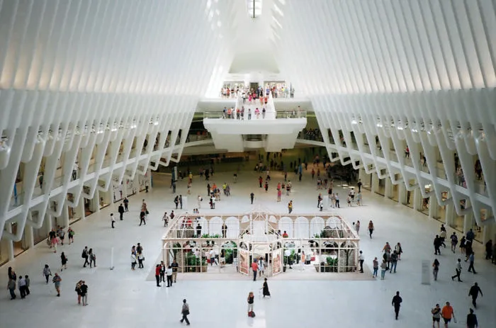 I Traveled Across 18 States Of The USA In 8 Weeks, Here Are My 34 Best Shots
