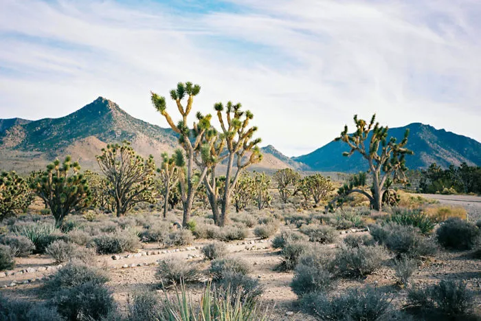 I Traveled Across 18 States Of The USA In 8 Weeks, Here Are My 34 Best Shots