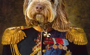 Royal Pet Portraits Are In!