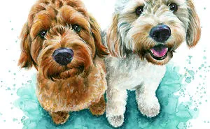 I Paint Colourful Pet Portraits