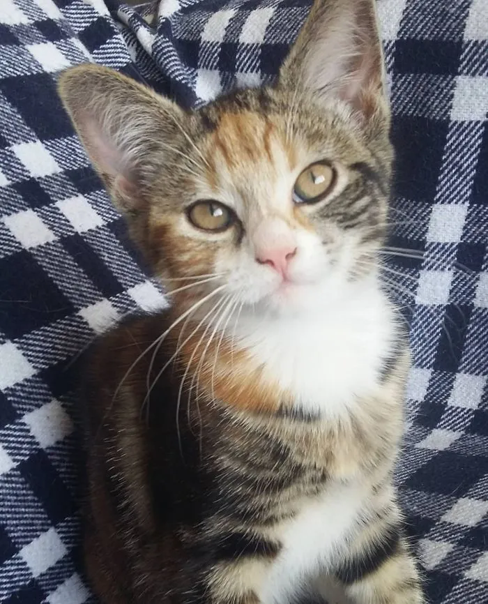 When She Hadn't Grown Into Her Ears Yet