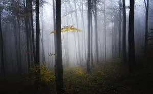 I Photograph Bulgaria To Show You How Beautiful It Is (18 New Pics)